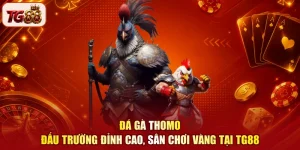 Đá Gà Thomo - Đấu Trường Đỉnh Cao, Sân Chơi Vàng Tại TG88