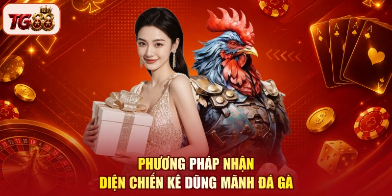 Phương pháp nhận diện chiến kê dũng mãnh đá gà